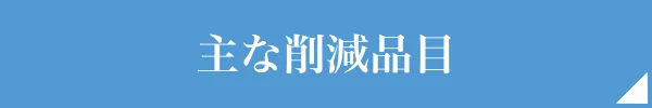 主な削減項目